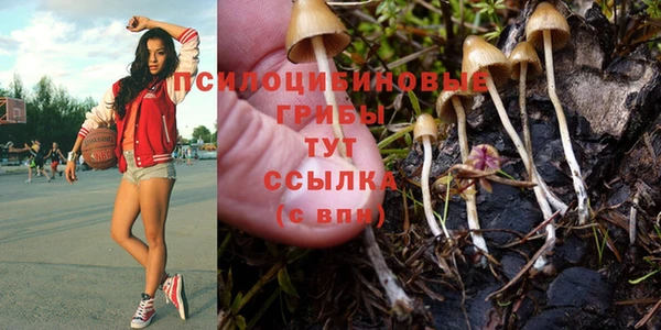 mix Приозерск