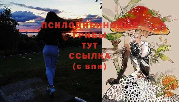 метадон Протвино