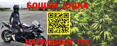 стафф Ставрополь