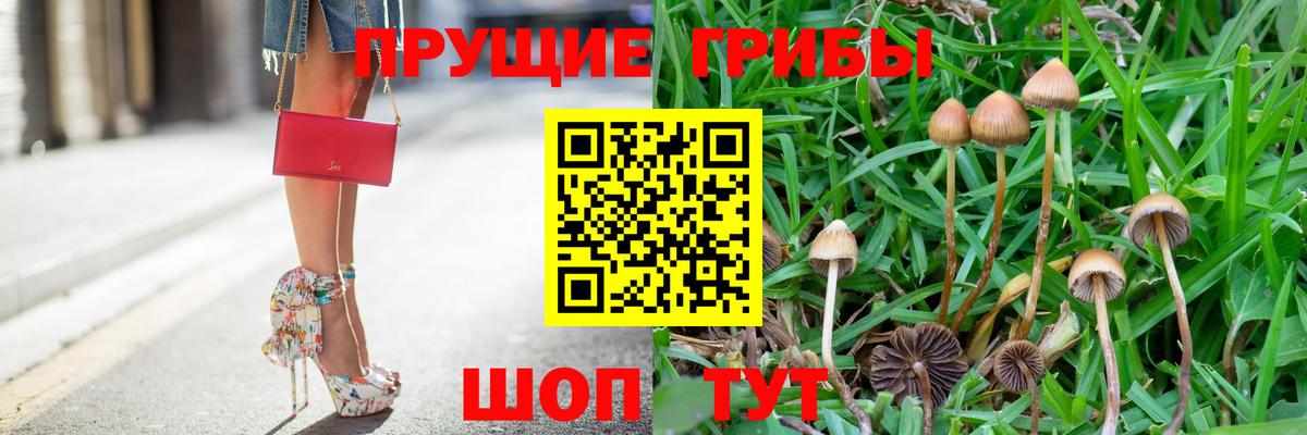 Псилоцибиновые грибы Psilocybine cubensis  Галлюциногенные грибы MAGIC MUSHROOMS  продажа наркотиков  Тында  Вход с VPN 